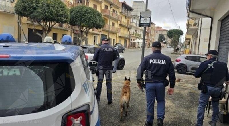 Controlli a tappeto della polizia nel crotonese, un sequestro e varie sanzioni