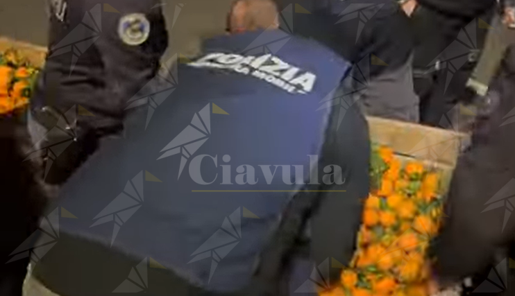 Scoperti 280 kg di droga nascosti tra le arance, due arresti